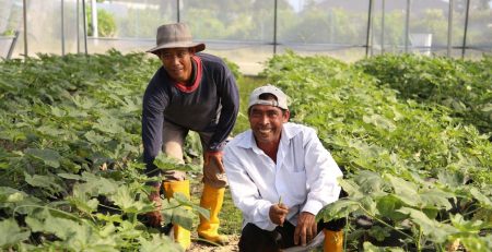 Sustainable Agricultural Business: Harmonizing Nature and Profitability with PT. Tetra Jaya Plusindo