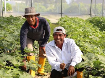 Bisnis Pertanian Berkelanjutan: Harmonisasi Alam dan Profitabilitas Bersama PT. Tetra Jaya Plusindo