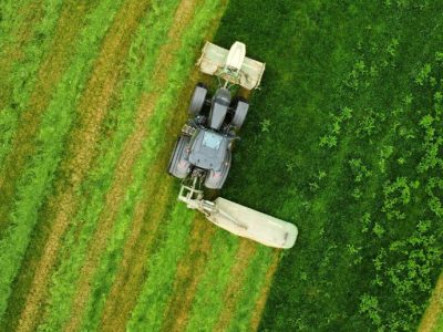 Mengaktifkan Potensi Lahan Tidur melalui Kemitraan Agribisnis: Solusi Strategis Menghadapi Krisis Lahan Nasional