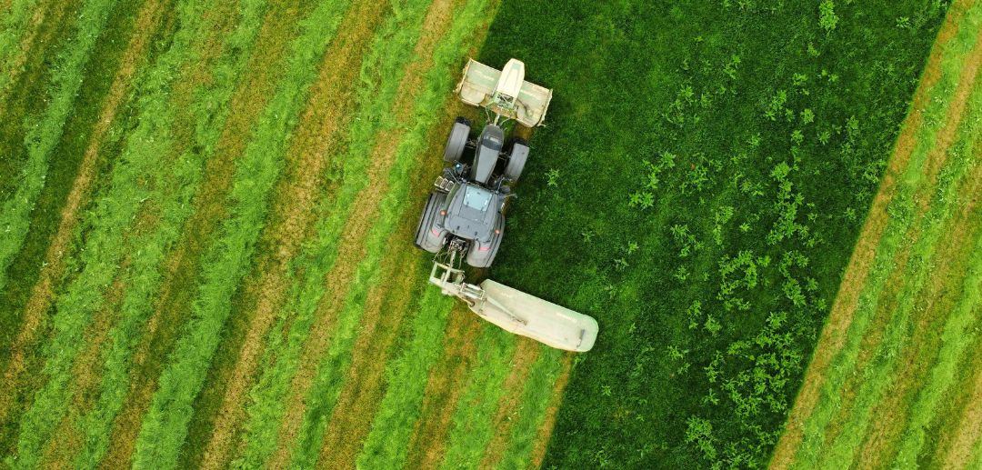 Mengaktifkan Potensi Lahan Tidur melalui Kemitraan Agribisnis: Solusi Strategis Menghadapi Krisis Lahan Nasional