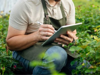 Preserving Integrity from Farm to Fork: The Essential Process of Agricultural Quality Control