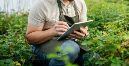 Menjaga Integritas dari Lahan hingga Meja Makan: Bagaimana Proses Quality Control Produk Pertanian yang Benar?