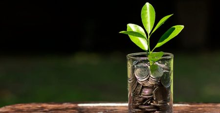 Peluang Investasi Agribisnis Indonesia yang Aman dan Menguntungkan