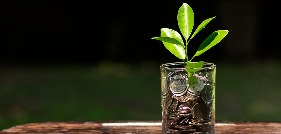 Peluang Investasi Agribisnis Indonesia yang Aman dan Menguntungkan