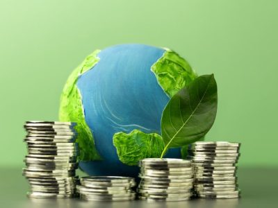 Strategies for Building a Sustainable Business Network: A Modern Agribusiness Perspective