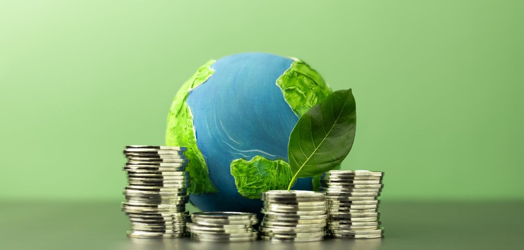 Strategies for Building a Sustainable Business Network: A Modern Agribusiness Perspective