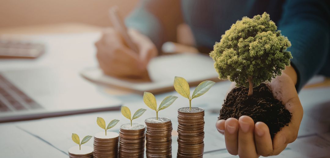 Transforming Unused Land: Securing Food Security and Strategic Investment Opportunities for 2026