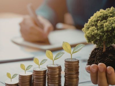 Transformasi Lahan Tidur: Mengunci Ketahanan Pangan dan Peluang Investasi Strategis 2026
