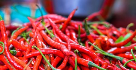# **Bird’s Eye Chili: A Premier Commodity in Indonesia’s Supply Chain** In the landscape of Indonesian food commodities, a unique and recurring phenomenon has caught the serious attention of policymakers, market players, and households alike: the price dynamics of Bird’s Eye Chili. Consistently, the price of red Bird’s Eye Chili per kilogram often exceeds that of other basic staples, such as rice, sugar, or even poultry, during specific periods ### **Why Does This "Small" Commodity Command Such a High Price?** When compared head-to-head, the price of red Bird’s Eye Chili often reaches figures far above the average price of premium rice or shallots**Bird’s Eye Chili**. Several factors contribute to this high valuation: - **Significant Production Risks**: Unlike more resilient food crops, Bird’s Eye Chili is highly vulnerable to weather anomalies and pest infestations. A harvest failure in a single season can drastically slash national supply in a short time. - **Perishability**: Its short shelf life demands highly efficient logistical management. Every hour of delay in distribution results in a decline in quality and market value. - **Inelastic Demand**: In Indonesia, Bird’s Eye Chili is more than just a garnish; it is a cultural necessity. High demand, when not met with supply stability, creates extreme price volatility. ### **The Role of PT Tetra Jaya Plusindo: Bridging the Gap Between Upstream and Downstream** PT Tetra Jaya Plusindo understands that to keep Bird’s Eye Chili prices competitive for consumers while remaining profitable for farmers, a smarter and more transparent supply chain system is required As a pathfinder for producers—especially chili farmers across various regions—we are committed to ensuring their products are fairly valued and meet quality standards capable of penetrating wider markets. 1. **Standardization and Quality Control**: We assist farmers in implementing strict Quality Control protocols from planting to post-harvest. Maintaining quality ensures the produced Bird’s Eye Chili has higher competitiveness among large retailers and the food processing industry. This minimizes harvest waste caused by products failing to meet market specifications. 2. **Logistical and Supply Chain Efficiency**: PT Tetra Jaya Plusindo acts as an integrator that eliminates supply chain inefficiencies. Through shorter and more organized distribution channels, we ensure product freshness is maintained while logistical costs are reduced. ### **Investor Perspective: Ensuring "On Track" Investments** For investors and landowners, food commodities like Bird’s Eye Chili offer stable growth prospects alongside increasing population and consumption. However, investing in this sector requires an entity that understands field-level risk mitigation. We believe secure investments are those that provide a real impact on food security and producer welfare. By utilizing accurate market data and extensive networks, we help business partners make decisions based on in-depth analysis rather than mere price speculation. By making Bird’s Eye Chili a focus commodity, we aim to help society thrive together, creating efficiency while preserving natural resources for future generations. Let us build a supply chain that is not only financially profitable but also socially impactful. Whether you own idle land or wish to enter agribusiness without owning land, [consult with us today.](http://wa.me/6281517748865)