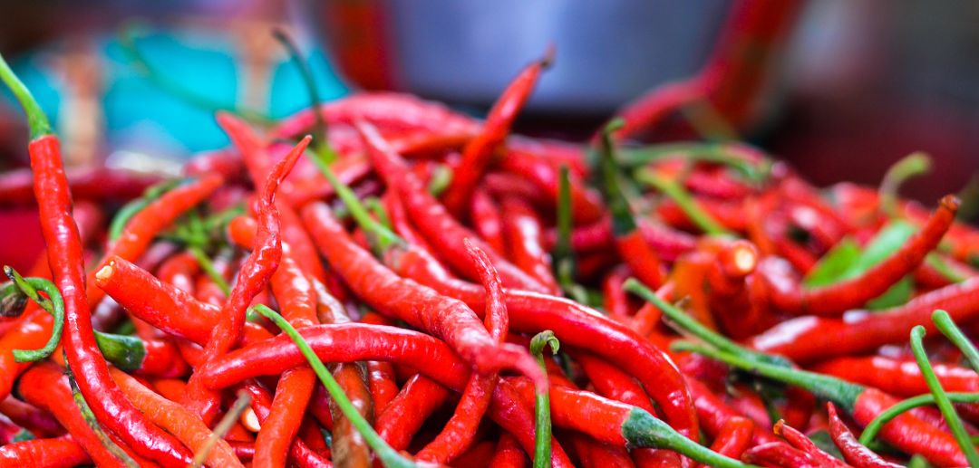# **Bird’s Eye Chili: A Premier Commodity in Indonesia’s Supply Chain** In the landscape of Indonesian food commodities, a unique and recurring phenomenon has caught the serious attention of policymakers, market players, and households alike: the price dynamics of Bird’s Eye Chili. Consistently, the price of red Bird’s Eye Chili per kilogram often exceeds that of other basic staples, such as rice, sugar, or even poultry, during specific periods ### **Why Does This "Small" Commodity Command Such a High Price?** When compared head-to-head, the price of red Bird’s Eye Chili often reaches figures far above the average price of premium rice or shallots**Bird’s Eye Chili**. Several factors contribute to this high valuation: - **Significant Production Risks**: Unlike more resilient food crops, Bird’s Eye Chili is highly vulnerable to weather anomalies and pest infestations. A harvest failure in a single season can drastically slash national supply in a short time. - **Perishability**: Its short shelf life demands highly efficient logistical management. Every hour of delay in distribution results in a decline in quality and market value. - **Inelastic Demand**: In Indonesia, Bird’s Eye Chili is more than just a garnish; it is a cultural necessity. High demand, when not met with supply stability, creates extreme price volatility. ### **The Role of PT Tetra Jaya Plusindo: Bridging the Gap Between Upstream and Downstream** PT Tetra Jaya Plusindo understands that to keep Bird’s Eye Chili prices competitive for consumers while remaining profitable for farmers, a smarter and more transparent supply chain system is required As a pathfinder for producers—especially chili farmers across various regions—we are committed to ensuring their products are fairly valued and meet quality standards capable of penetrating wider markets. 1. **Standardization and Quality Control**: We assist farmers in implementing strict Quality Control protocols from planting to post-harvest. Maintaining quality ensures the produced Bird’s Eye Chili has higher competitiveness among large retailers and the food processing industry. This minimizes harvest waste caused by products failing to meet market specifications. 2. **Logistical and Supply Chain Efficiency**: PT Tetra Jaya Plusindo acts as an integrator that eliminates supply chain inefficiencies. Through shorter and more organized distribution channels, we ensure product freshness is maintained while logistical costs are reduced. ### **Investor Perspective: Ensuring "On Track" Investments** For investors and landowners, food commodities like Bird’s Eye Chili offer stable growth prospects alongside increasing population and consumption. However, investing in this sector requires an entity that understands field-level risk mitigation. We believe secure investments are those that provide a real impact on food security and producer welfare. By utilizing accurate market data and extensive networks, we help business partners make decisions based on in-depth analysis rather than mere price speculation. By making Bird’s Eye Chili a focus commodity, we aim to help society thrive together, creating efficiency while preserving natural resources for future generations. Let us build a supply chain that is not only financially profitable but also socially impactful. Whether you own idle land or wish to enter agribusiness without owning land, [consult with us today.](http://wa.me/6281517748865)
