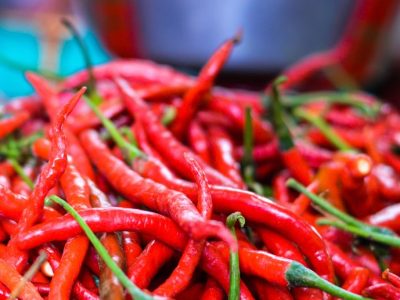 Cabai Rawit Merah Menjadi Komoditas Unggulan dalam Rantai Pasok Indonesia