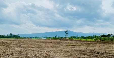 Fondasi Keberlanjutan: Mengoptimalkan Proses Persiapan Lahan sebagai Kunci Mutu Rantai Pasok Bahan Pangan