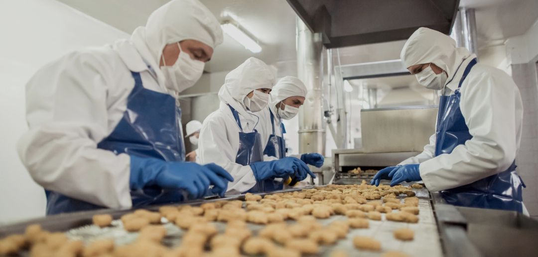 Menakar Kekuatan Lumbung Pangan: Mengapa Potensi Industri Pangan Indonesia Adalah Masa Depan Rantai Pasok Global