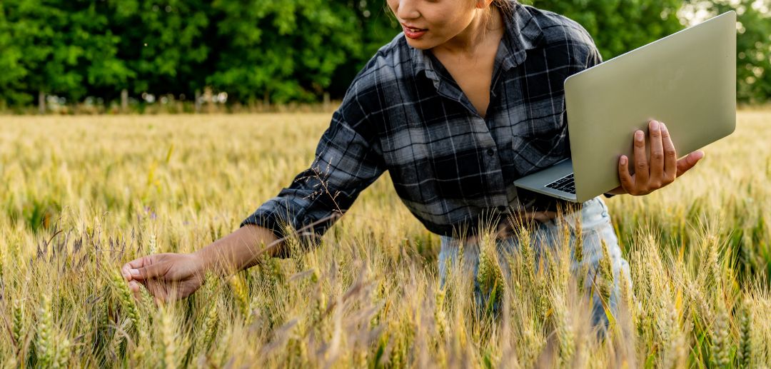 Essential 2026 Indonesian Agribusiness Trends: Navigating Green and Digital Ecosystems with PT. Tetra Jaya Plusindo