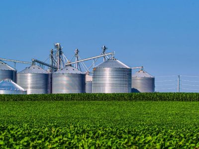 Understanding Profitable Agribusiness Models in Indonesia: The Strategic Synergy of PT. Tetra Jaya Plusindo