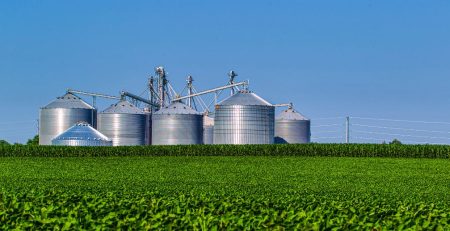 Understanding Profitable Agribusiness Models in Indonesia: The Strategic Synergy of PT. Tetra Jaya Plusindo