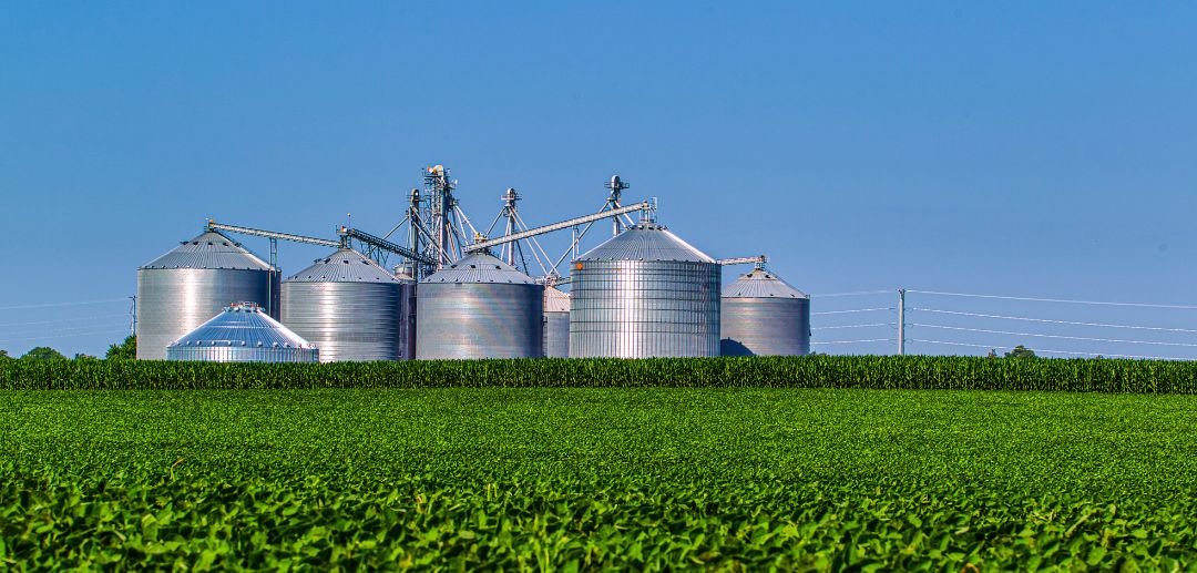 Understanding Profitable Agribusiness Models in Indonesia: The Strategic Synergy of PT. Tetra Jaya Plusindo