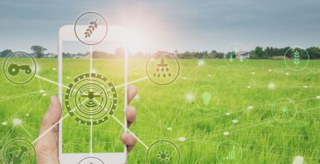 Traces of Transparency from Farm to Fork: Understanding Food Traceability and Its Strategic Imperative