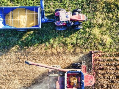 Building a Sustainable Ecosystem: The Long-Term Benefits of Partnering with a Business Bridging Company