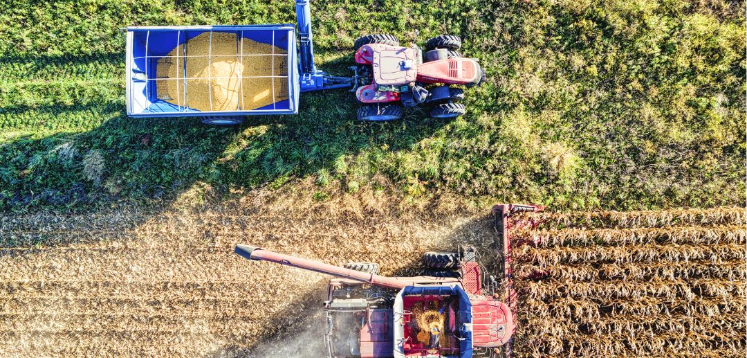 Building a Sustainable Ecosystem: The Long-Term Benefits of Partnering with a Business Bridging Company