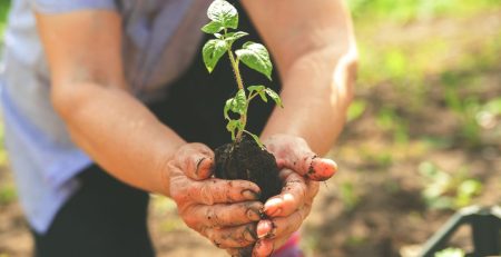 Navigating the Food Business Chain: Understanding the Strategic Roles of Farmers, Producers, and Distributors