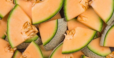 Meeting Rising Market Demand: Cultivating Inthanon and Fujisawa Melons as Superior Agribusiness Commodities
