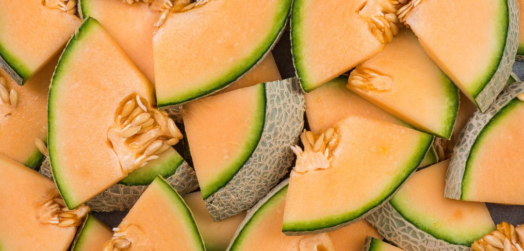 Meeting Rising Market Demand: Cultivating Inthanon and Fujisawa Melons as Superior Agribusiness Commodities