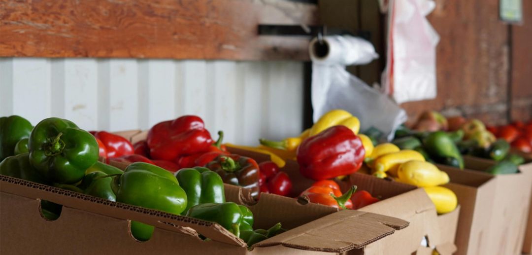 Modernizing the Flow of Food: Understanding Supply Chain Management in the Agricultural Sector