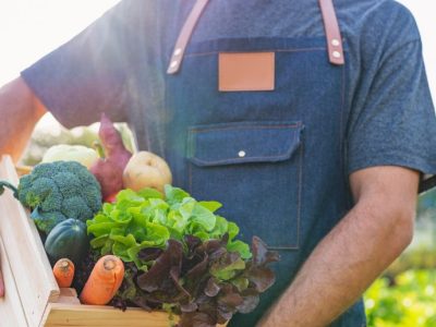Navigating the Global Supply Chain: Organic vs. Conventional Products—Which Is More Profitable?