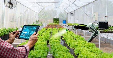 Toward Future Food Sovereignty: The Role of Technology in Modern Agricultural Transformation with PT. Tetra Jaya Plusindo