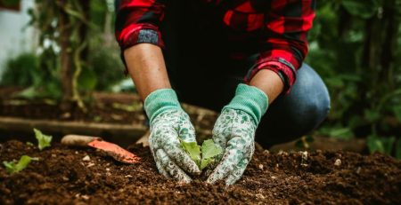 Modern Agribusiness Transformation: Why the Agronomist Role is Essential in the Field